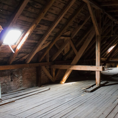 bat removal in attics cambridge