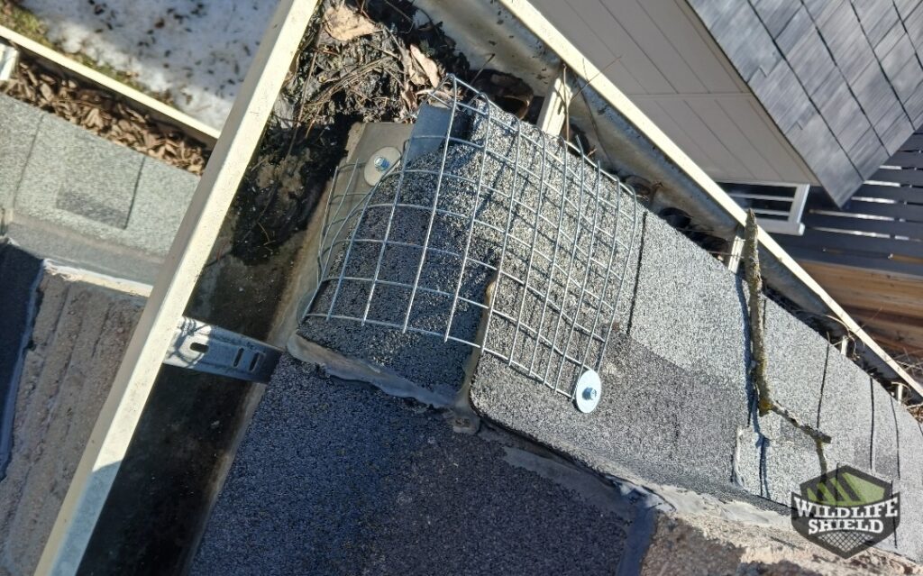 Exclusion of Drip Edge Corner