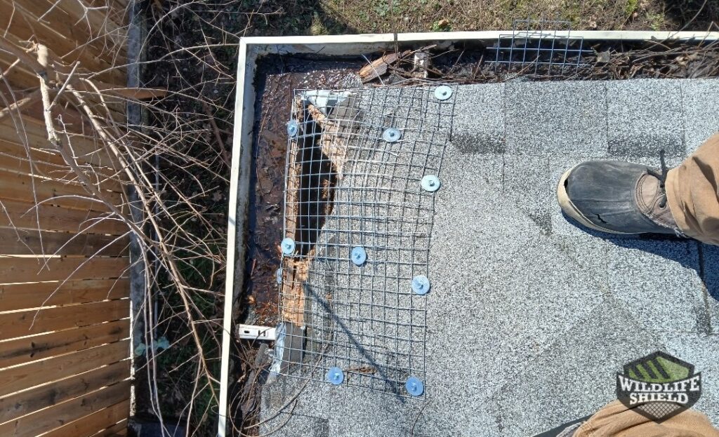 Removal or One Way Door